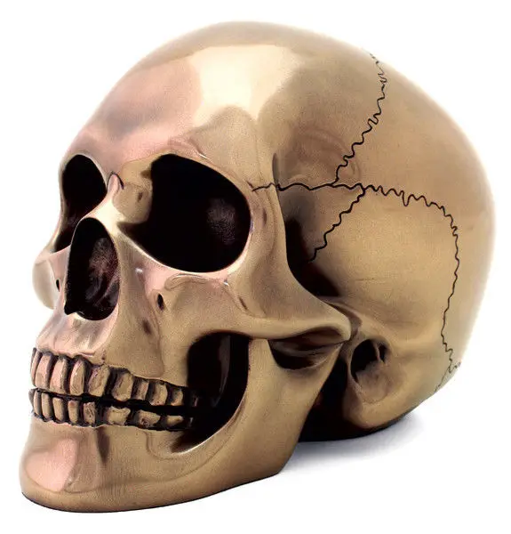 Бронзовая гладкая череп статуя Скульптура рисунок | Дом и сад