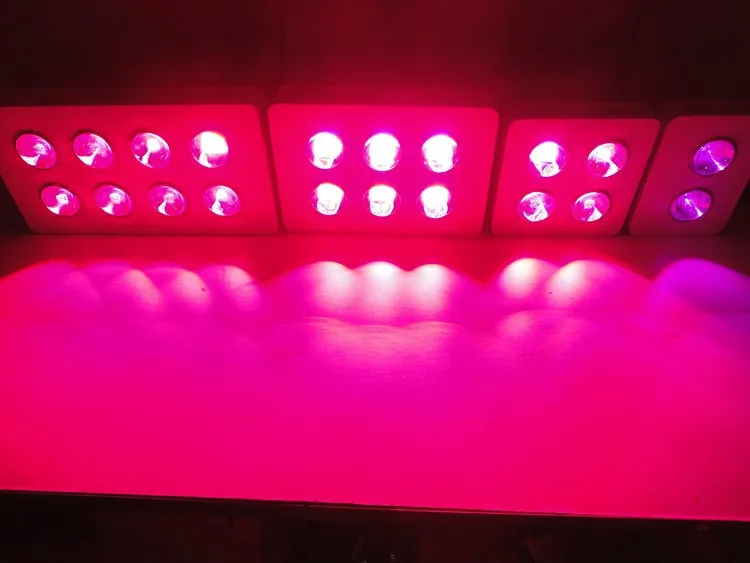 

Newest Big eyes 800W LED Grow Light Lamp Panel Indoor UFO Hydroponic System