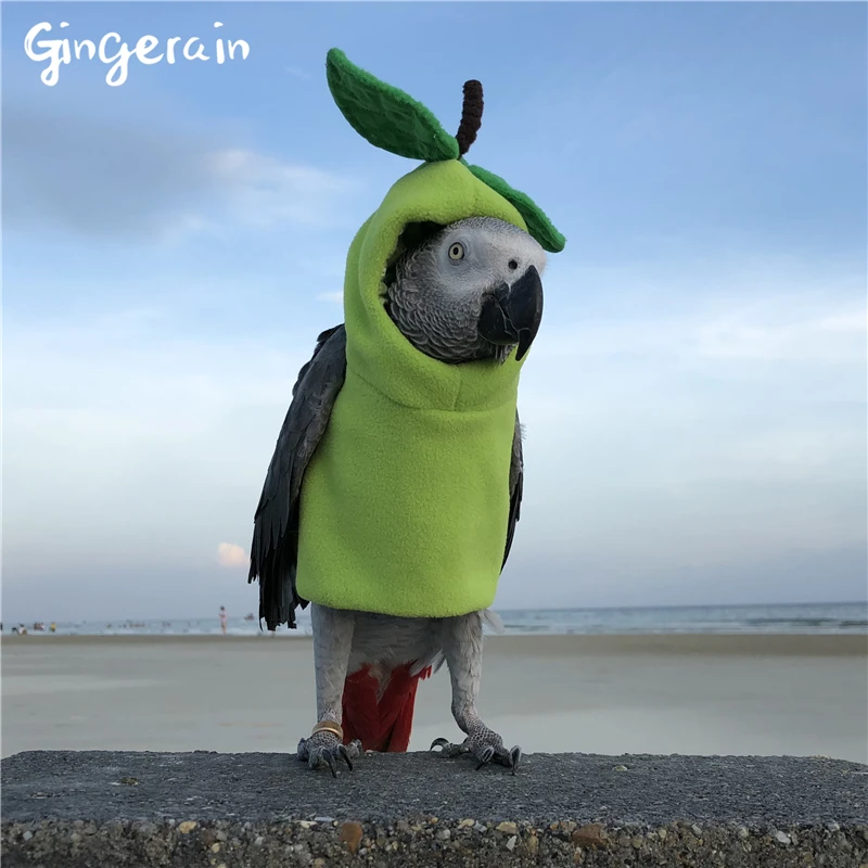 Gingerain одежда с птицами попугай Одежда Маленький принц ручной работы на заказ одежда с птицами с капюшоном свитер фруктовый парк