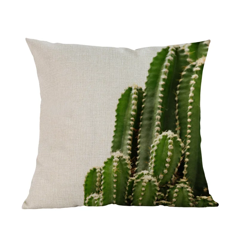 Зеленое растение кактус фрукты Колючая груша опантия фикуса-индийский