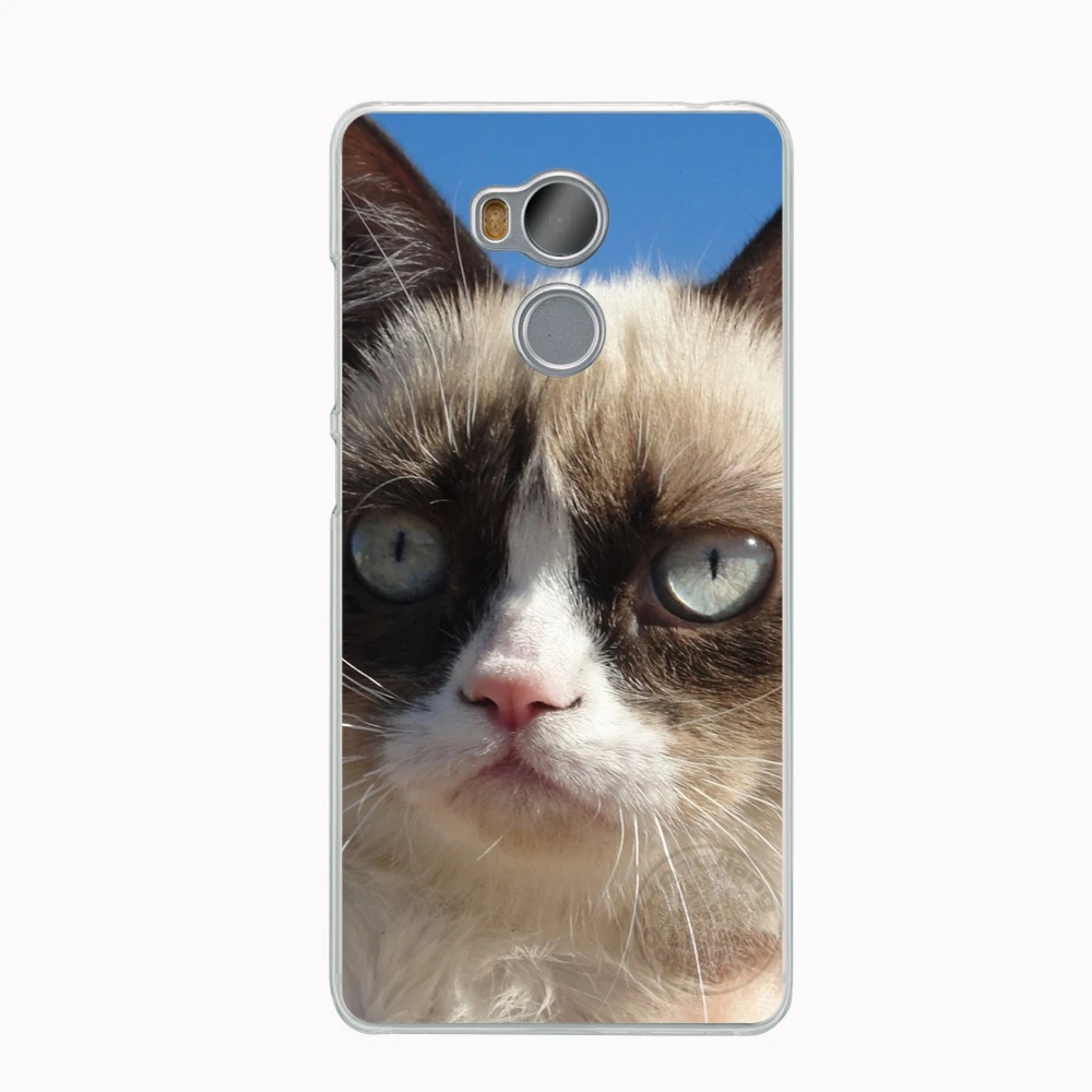 HAMEINUO кошка сидящая на дороге чехол для телефона Xiaomi redmi 4 1 1s 2 3 3s pro note 4X 4A 5A|phone cases|note