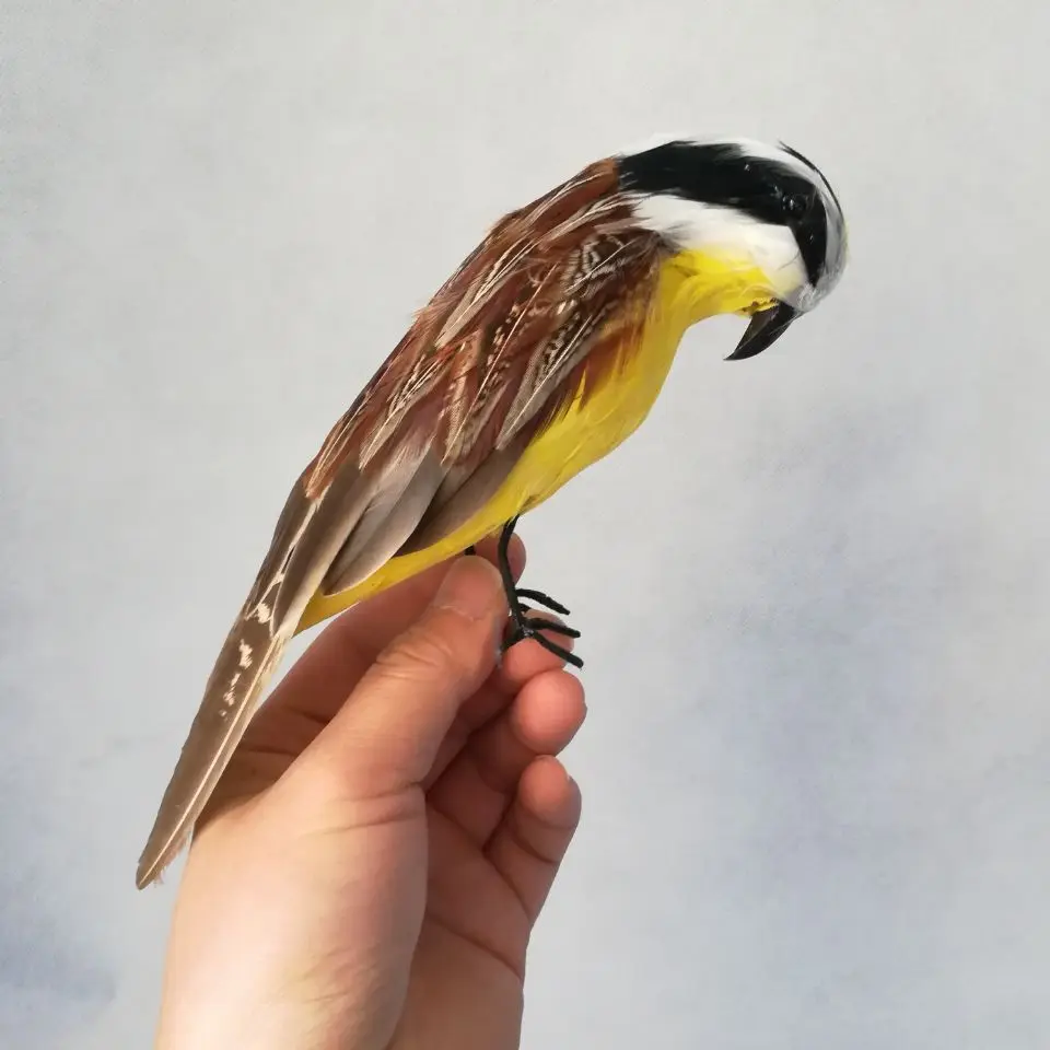 Реалистичная игрушка, птицы, перья, птица около 23 см, яркая птица, модель Pitangus сульфуратуса, ремесленное украшение для сада, реквизит h0942