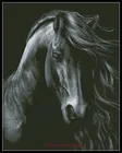 Набор для вышивки крестиком 14 ct DMC DIY Искусство ручной работы Декор-Черная лошадь