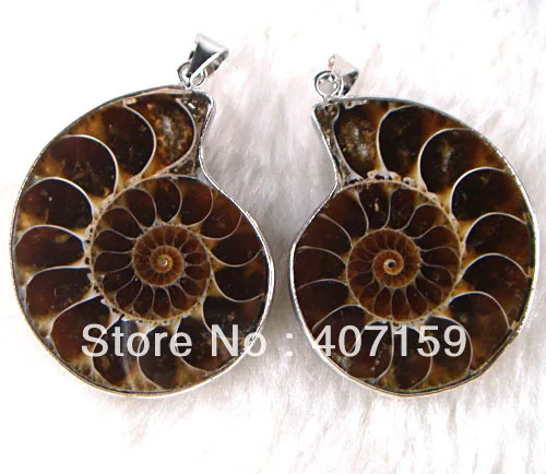 Ожерелье с натуральным аммонитом разные пары | Украшения и аксессуары