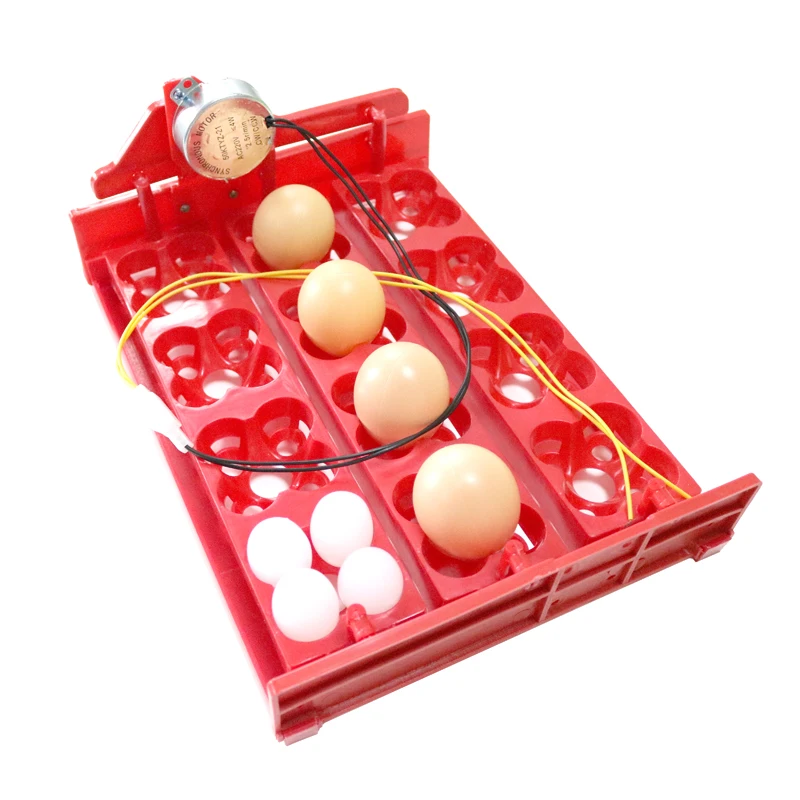 Автоматический инкубатор для яичницы 12 яиц/48 птиц автоматическое переключение