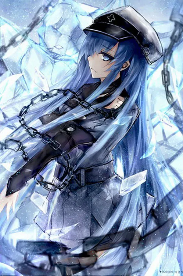 Украшение для дома Akame Ga Kill! Аниме Esdeath 90*60 см настенный плакат с прокруткой #37442 |