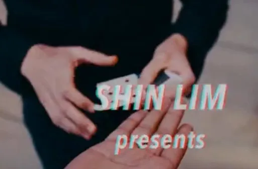 Подарочные фокусы Project S от Simon Black and Shin Lim|Волшебные фокусы| |