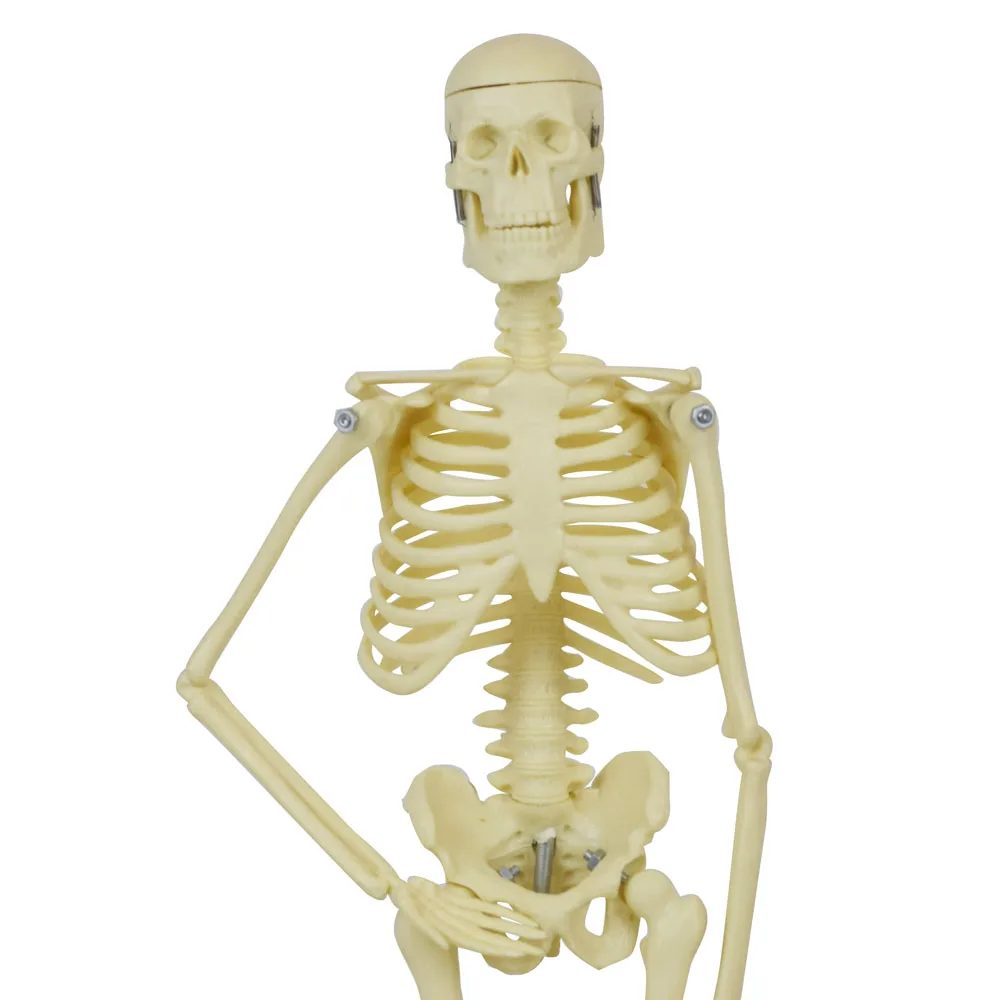 Кукла 1/4 BJD 45 см 14 шарнирных кукол человеческий скелет модель Хэллоуин ужас