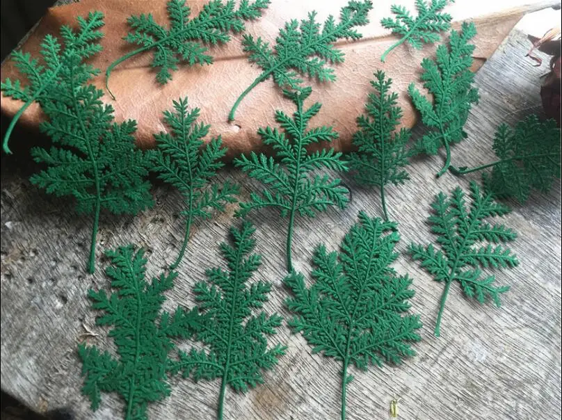 

120pcs Green Pressed Dried Wormwood Leaf Leaves Plant Herbarium For Jewelry Pendant Ring Earrings Flower Making Accessories