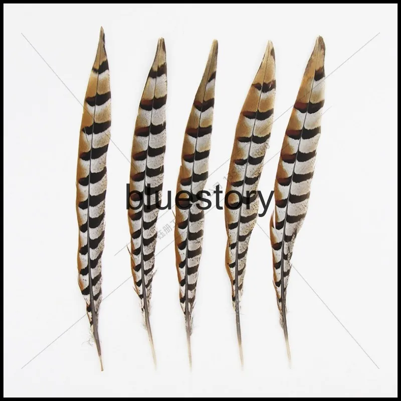 

Free shipping 100PCSlo25-30cm R eevesii pheasant tail feat 10-12" Lady Amhurst pheasant feathers