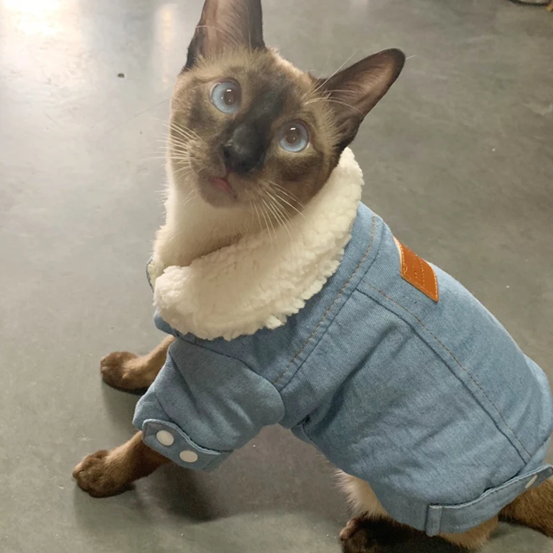 

Warm Cotton Collar Pet Cat Clothes For Cats Winter Denim Cat Coat Jacket Thicken Gatos kedi Mascotas Clothing Ropa Para Gato