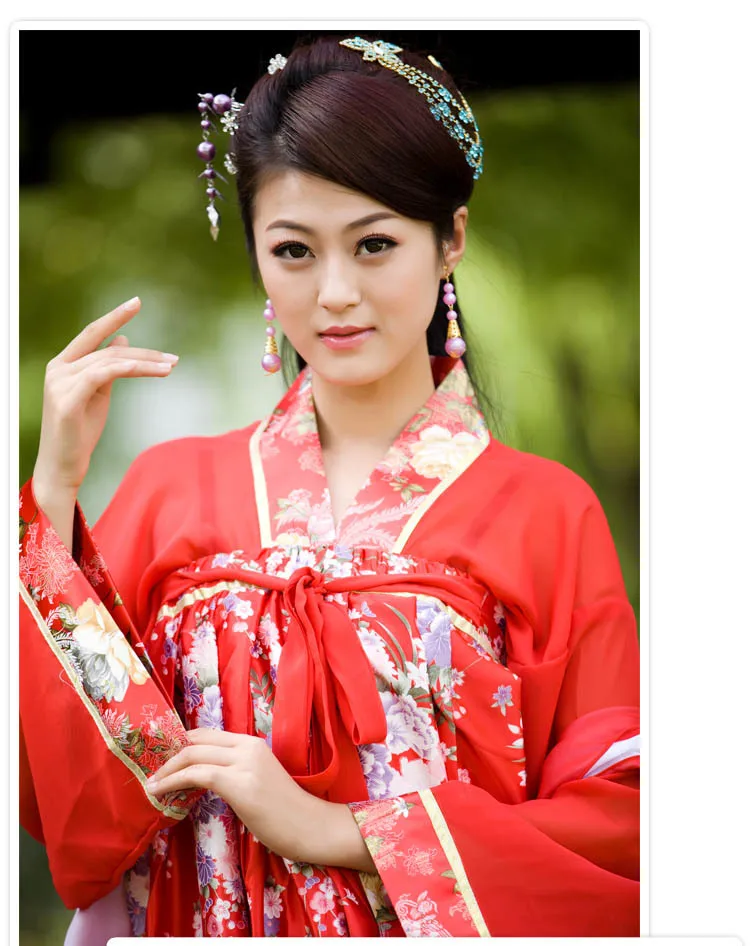 New Chinese Ancient Clothing Hanfu Skirt Hanfu Women's Skirt Costume Hanfu Double-breasted Dress