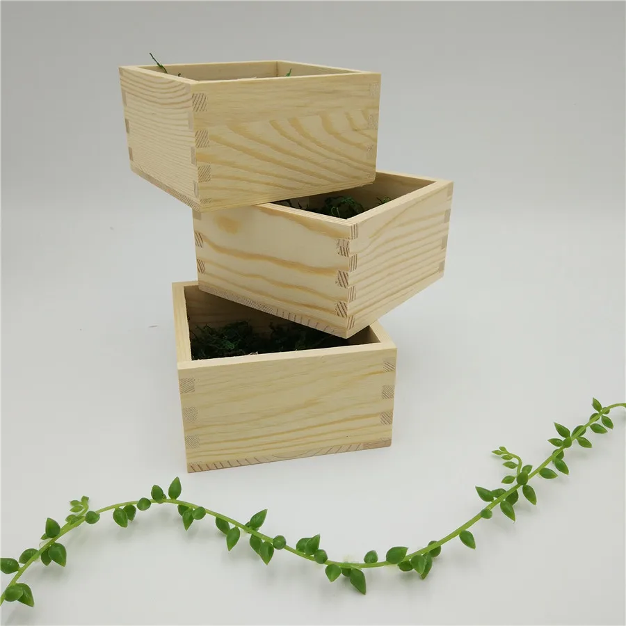 Special Square Wooden Storage Box With Dry Green Moss For Dry Flower Tray Natural Style Wood Display Holder For Watch Shop