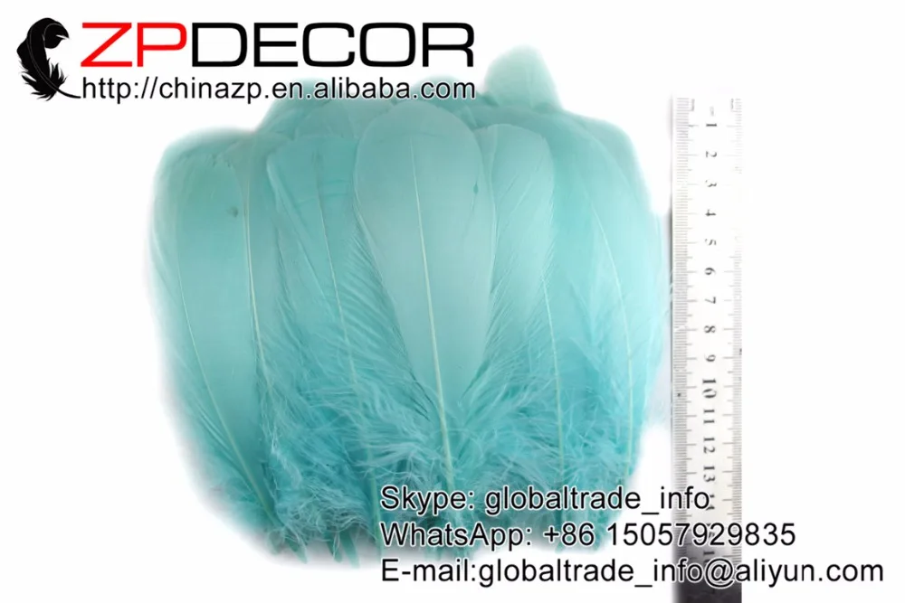 

ZPDECOR 10~20cm(4-8inch) 200pieces/lot Factory Direct Paleturquoise Goose Coquille Feathers Dyed