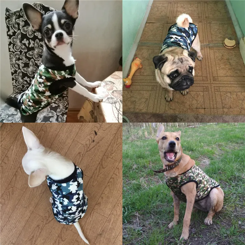 Женская одежда для домашних животных щенка средней и большой цветов модная