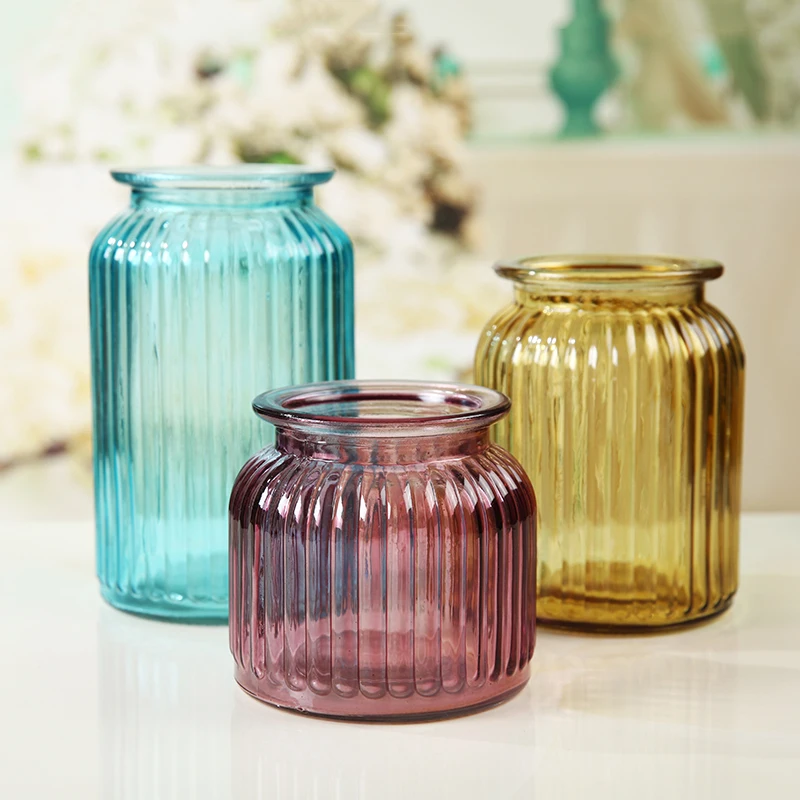 

Modern Colorful Transparent Glass Vase Ornaments Hydroponics Plant Flowers Vase Storage Bottle Home Live Decor