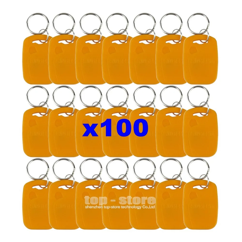 DIYSECUR 100 шт./лот Rfid 125 кГц бесконтактная идентификационная карта брелок для ключей