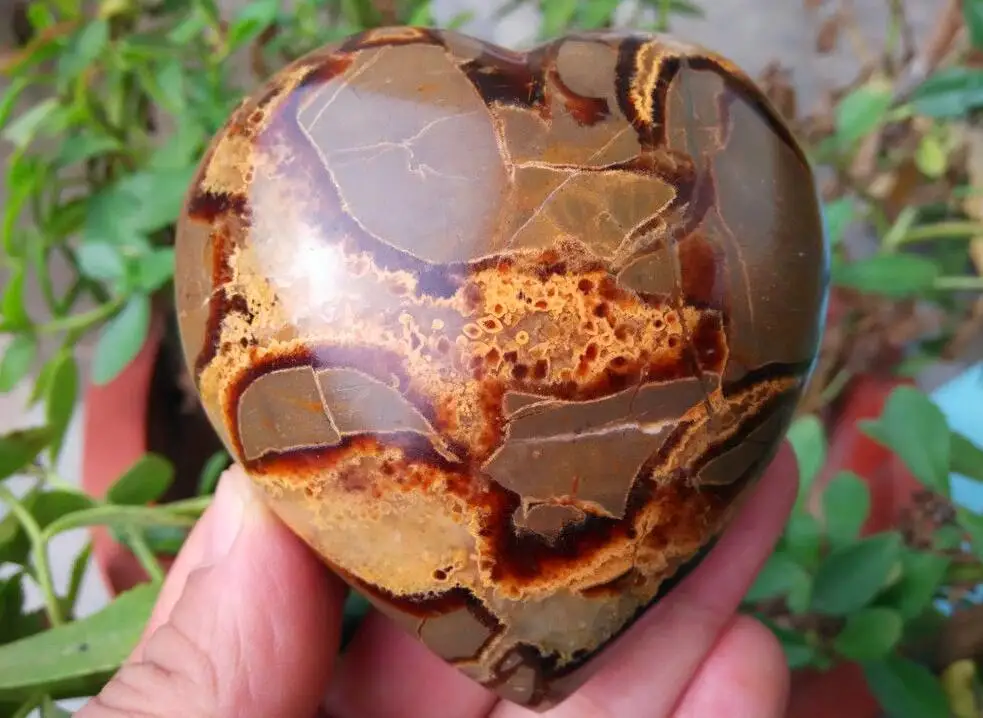 260 г Septarian Дино &quotКамень Дракона&quot в форме сердца образец|specimen| |