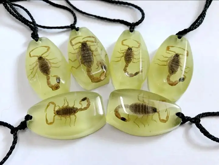 

12 pcs fashion isect style yqtdmy pendant
