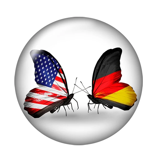 Пара бабочек с национальным флагом 10 шт. Смешанные Круглые Стеклянные Кабошоны