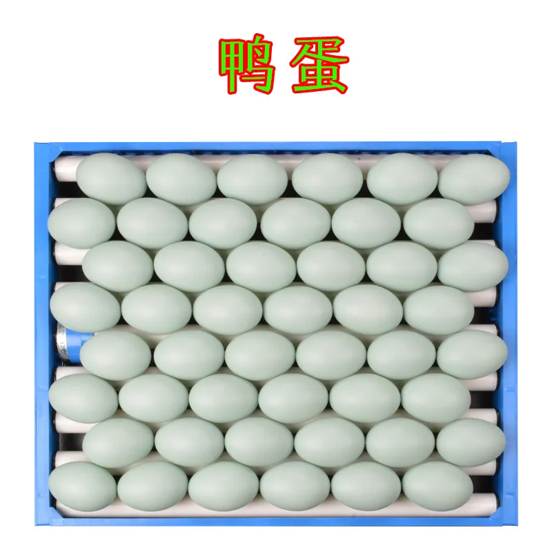 Профессиональный пластиковый лоток для яиц инкубатора автоматический поворот