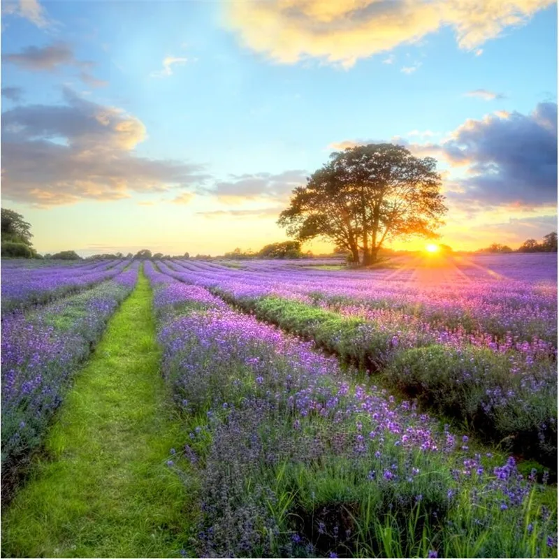 beibehang photo wallpaper quality flash silver cloth TV sofa idyllic natural landscape lavender large mural | Обустройство дома