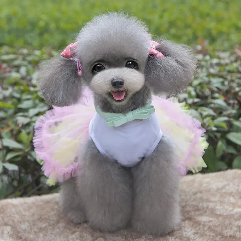 2017 Puppy Dog Dress Princess Dot Lace Skirt Tutu Pet Cat Summer Clothes Apparel | Дом и сад