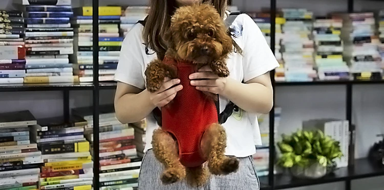 Petshy, регулируемый рюкзак для собак, кенгуру, дышащая Передняя переноска для собаки щенка, сумка для переноски домашних животных, для путешествий, легко садится, 10 цветов