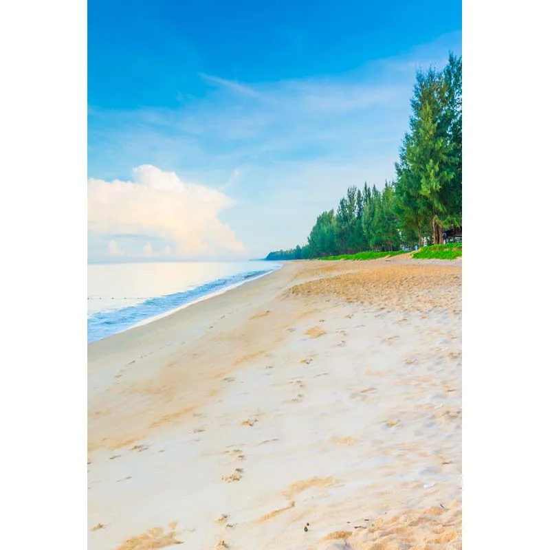 

Thin Vinyl seaside beach backdrop for photo studio outdoor background backdrops F-2641