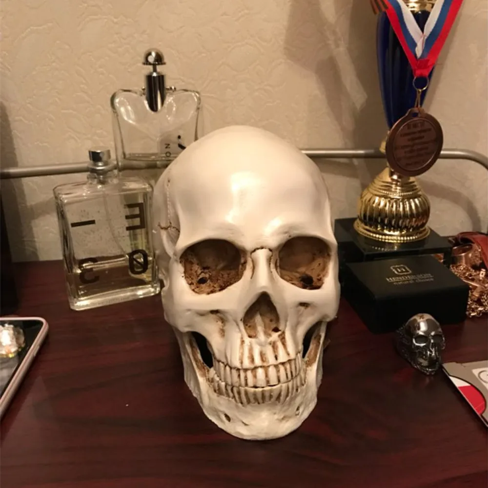 Человеческая голова Смола Реплика медицинский модель Lifesize 1:1 Хэллоуин украшения