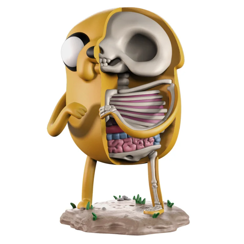 Jake 4D XXRAY master Mighty Jaxx Jason Freeny анатомический орнамент из мультфильма|Медицинская