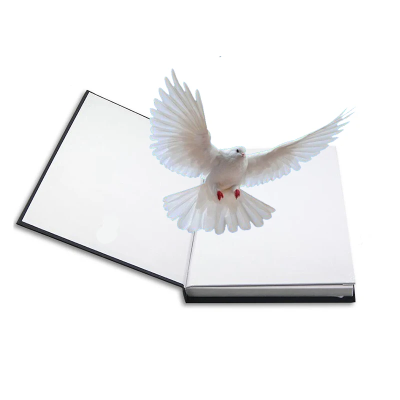 Волшебные фокусы для книги Fire Dove реквизит игрушек оптом и в розницу | Игрушки