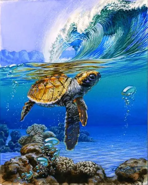 DIY Digital Painting By Numbers Package Sea turtle oil painting mural Kits Coloring Wall Art Picture Gift frameless | Дом и сад