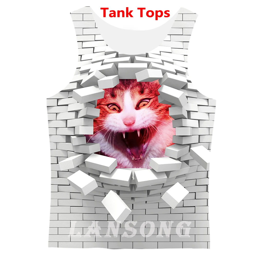 Разрушенные стены отверстие cat 3d Принт футболки/кофты/Толстовка/брюки для