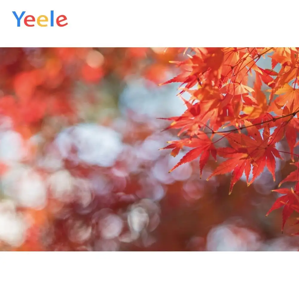 Yeele Autumn Red Maple Leaves Bokeh Light Beauty View Photography Backgrounds Customized Photographic Backdrops for Photo Studio |