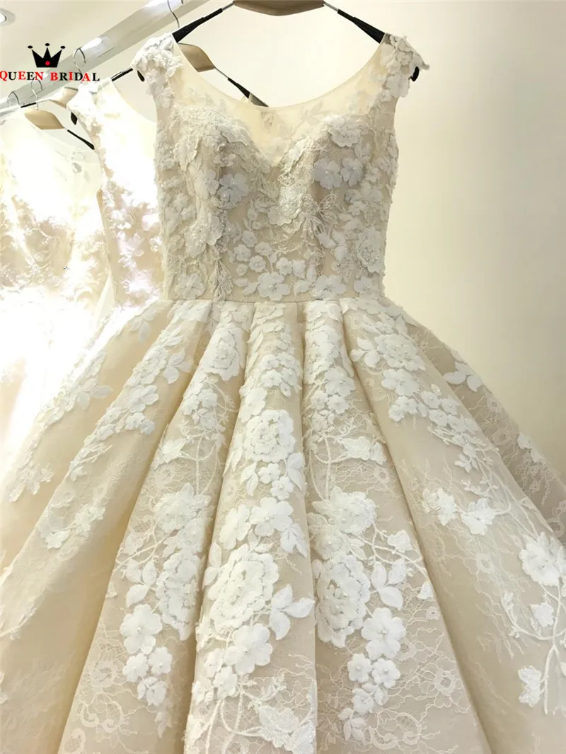 Luxury Wedding Dresses Ball Gown Big Train Lace Tulle Long Formal Plus Size Wedding Gown Bridal Dress Custom Made YB160