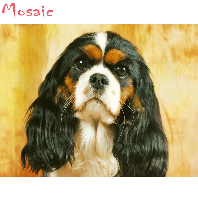 Cavalier king charles spaniel полный набор для рукоделия квадратная Алмазная Картина Набор