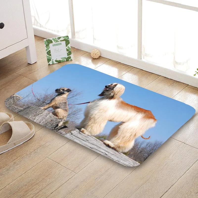 Nice Afghan Hound Doormat Outdoor Floor Mat Home Creative Super Soft Absorbent Bathroom Door Entrance 40X60cm 50x80cm | Дом и сад