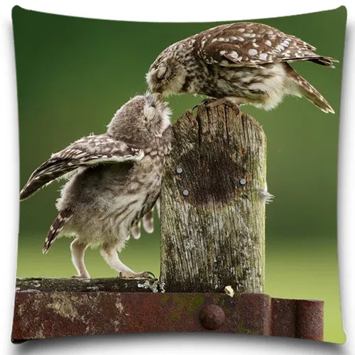 Чехол Подушка квадратная из хлопка с рисунком животных и совы|cushion cover|pillow case