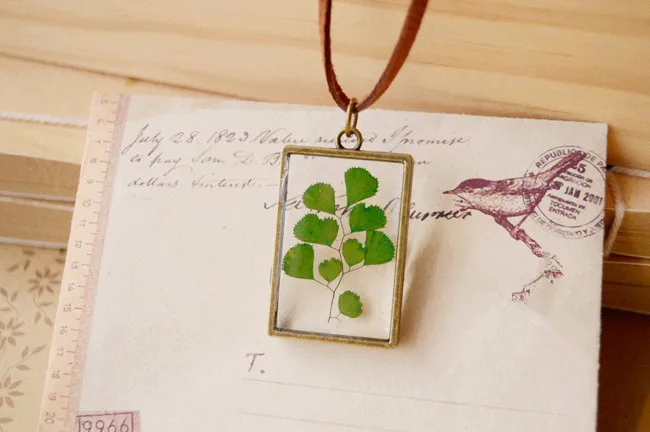 Фомальгаут Maidenhair папоротник образцы растений кожаная цепочка колье длинное