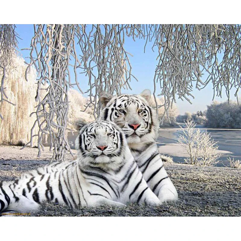 

Алмазная 5D картина «сделай сам», квадратная/круглая вышивка, два белых тигра, 3D вышивка крестиком, мозаика для домашнего декора, подарок, GH588,...