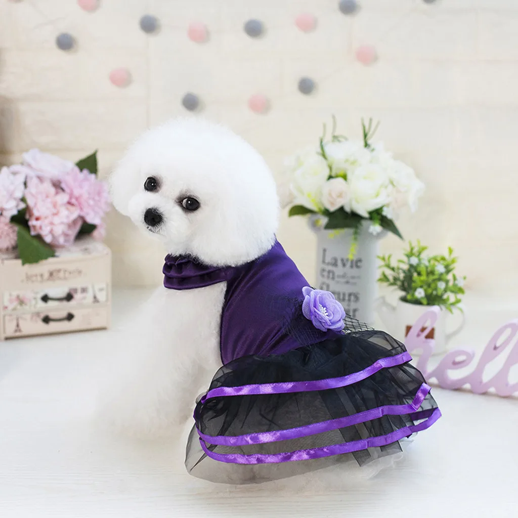 Забавная Одежда для собак джинсовое платье модная юбка маленьких кошка Весна