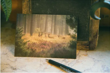 Новая Винтажная красивая открытка с оленем 32 шт./лот | Дом и сад