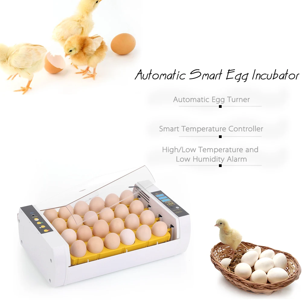 

Intelligent Automatic Egg Incubator 24 Eggs Temperature Control Hatcher for Hatching Chicken Duck Bird Quail Poultry Farmer