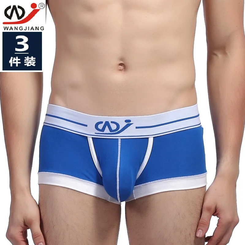 

3pcs/lot WJ men's underwear pants cotton fashion sexy U convex young students 2016-PJ
