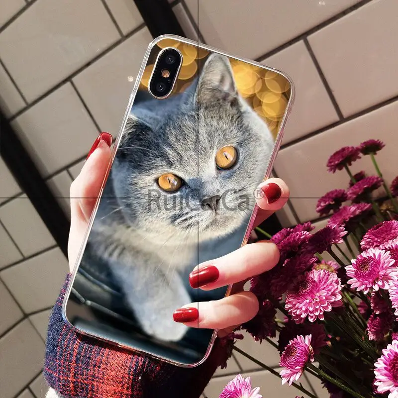 A10 Ruicaica Британский короткошерстный Кот умный чехол Прозрачный чехол для телефона для iPhone 8 7 6 6S Plus 5 5S SE XR X XS MAX чехол - Цвет: A10