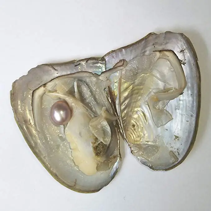 HENGSHENG 10 штук Пресноводный Культивированный Жемчуг Oyster 7-8 мм овальный жемчуг Oysters