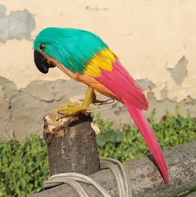 

artificial bird green-red feathers parrot bird about 22cm handicraft prop,home garden decoration gift p1906