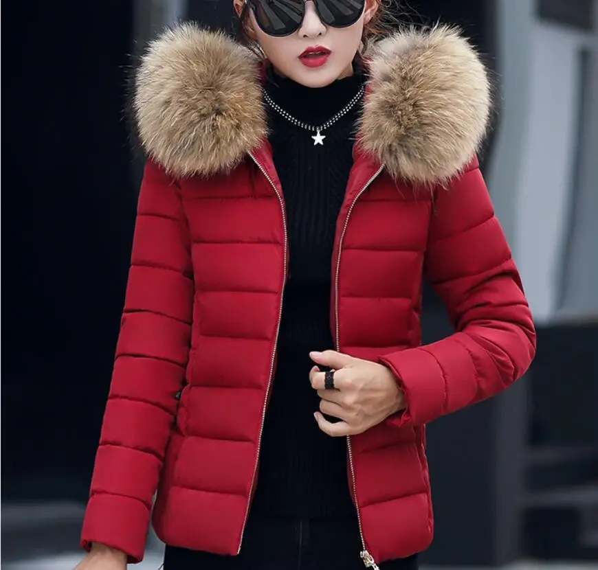 

Cotton coats women's short paragraph 2019 winter hooded female coat tops Slim thin large fur collar detachable cotton jacket