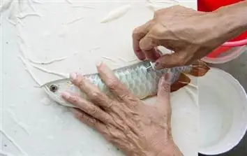 RFID82 ПЭТ инъекции Этикетка RFID Arowana вафли стеклянная трубка этикетки животные метки 8*2 мм|RFID бирки и карты| |